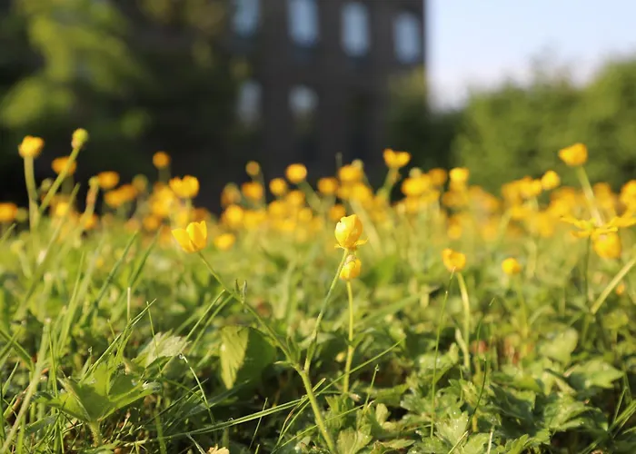 Goldcrest Village University Of ホテル *