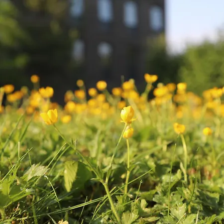 Goldcrest Village University Of 酒店 *